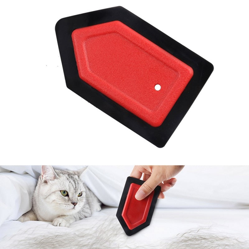 Pet Hair-Dust Remover Scraper